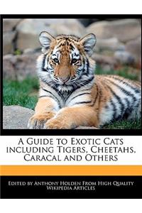 A Guide to Exotic Cats Including Tigers, Cheetahs, Caracal and Others