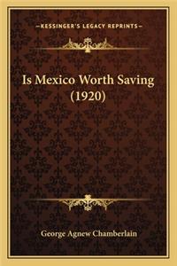 Is Mexico Worth Saving (1920)