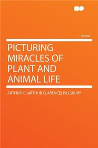 Picturing Miracles of Plant and Animal Life