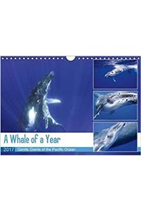 Whale of a Year 2017