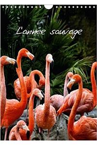 L'Annee Sauvage 2018