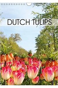 Dutch Tulips 2018