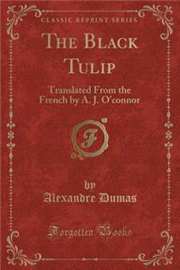 The Black Tulip