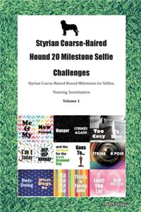 Styrian Coarse-Haired Hound 20 Milestone Selfie Challenges Styrian Coarse-Haired Hound Milestones for Selfies, Training, Socialization Volume 1