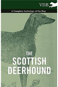 The Scottish Deerhound - A Complete Anthology of the Dog