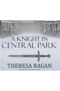 Knight in Central Park