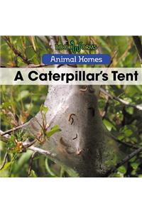 Caterpillar's Tent