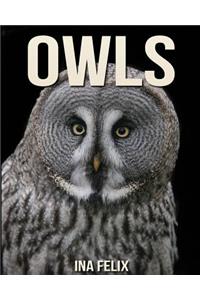 Owls