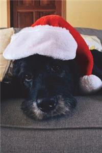 The Christmas Dog Journal