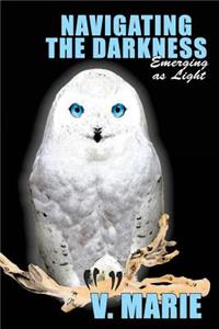 Navigating the Darkness