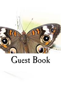 Guest Book