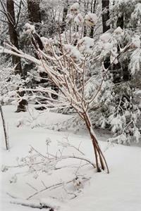 Journal Scenic Winter Weather