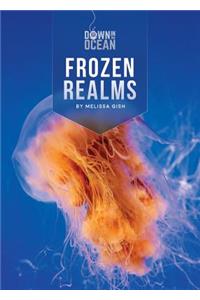 Frozen Realms