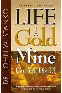 Life Is a Gold Mine: Can You Dig It?