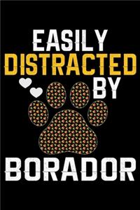 Easily Distracted by Borador