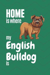 Home is where my English Bulldog is