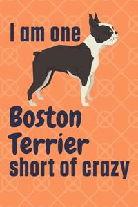 I am one Boston Terrier short of crazy