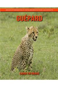 Guépard