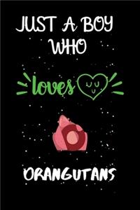 Just A Boy Who Loves Orangutans