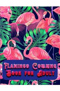 Flamingo Coloring Book for Adult