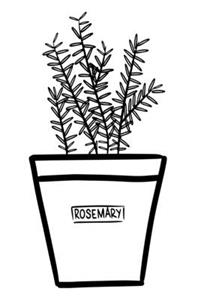 Rosemary Notebook