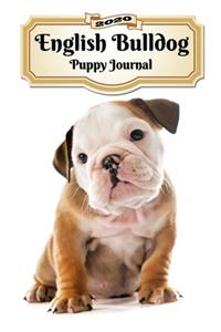 2020 English Bulldog Puppy Journal