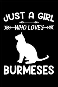 Just a girl who loves Burmeses