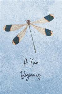 A New Beginning