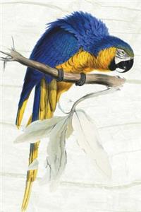 Parrot Notebook