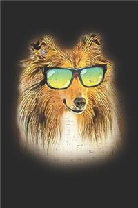 Shetland Sheepdog
