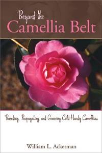 Beyond the Camellia Belt