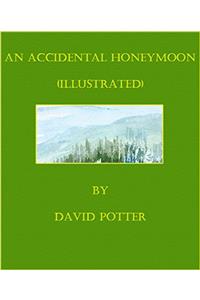 An Accidental Honeymoon (Illustrated)