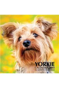 Yorkie Calendar 2018