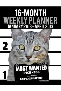 2018-2019 Weekly Planner - Most Wanted Pixie-bob