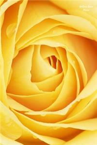 Yellow Rose Notes