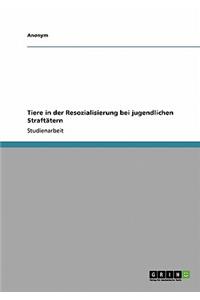 Tiere in der Resozialisierung bei jugendlichen Straftätern