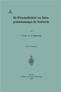 Die Wirtschaftlichkeit von Nebenproduktenanlagen für Kraftwerke
