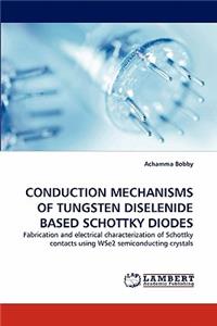 Conduction Mechanisms of Tungsten Diselenide Based Schottky Diodes