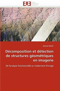 Décomposition et détection de structures géométriques en imagerie