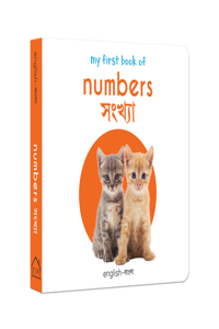 My First Book of Numbers