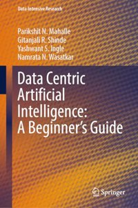 Data Centric Artificial Intelligence: A Beginner's Guide