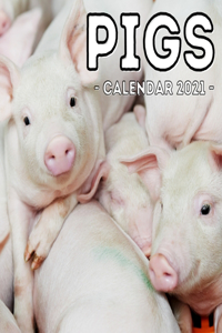 Pigs Calendar 2021