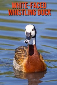 White-Faced Whistling Duck