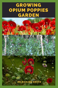 Growing Opium Poppies Garden
