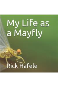 My Life as a Mayfly