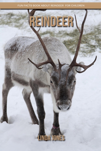 Reindeer