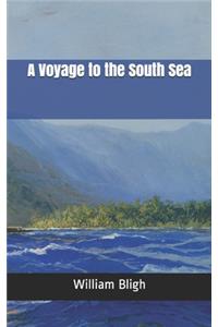 A Voyage to the South Sea
