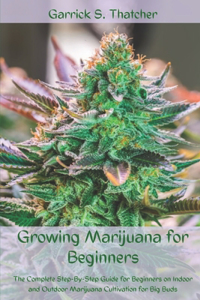 growing marijuana for beginners
