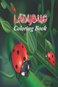 Ladybug Coloring Book