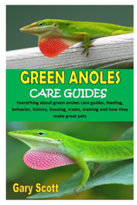 Green Anoles Care Guides